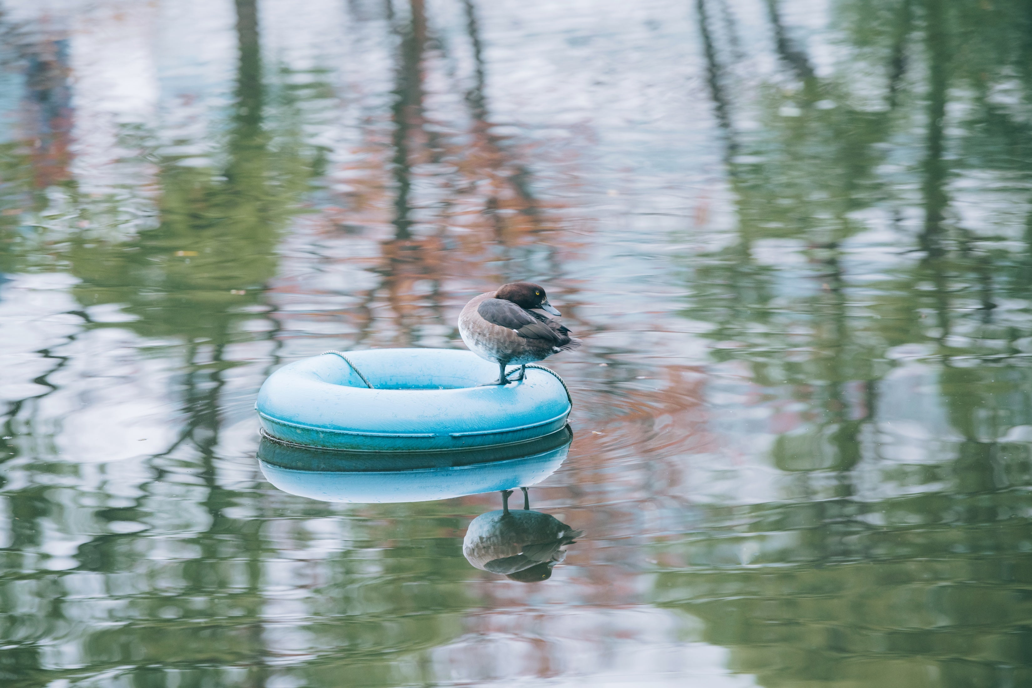 PARK AXIS 錦糸町スタイルズ
