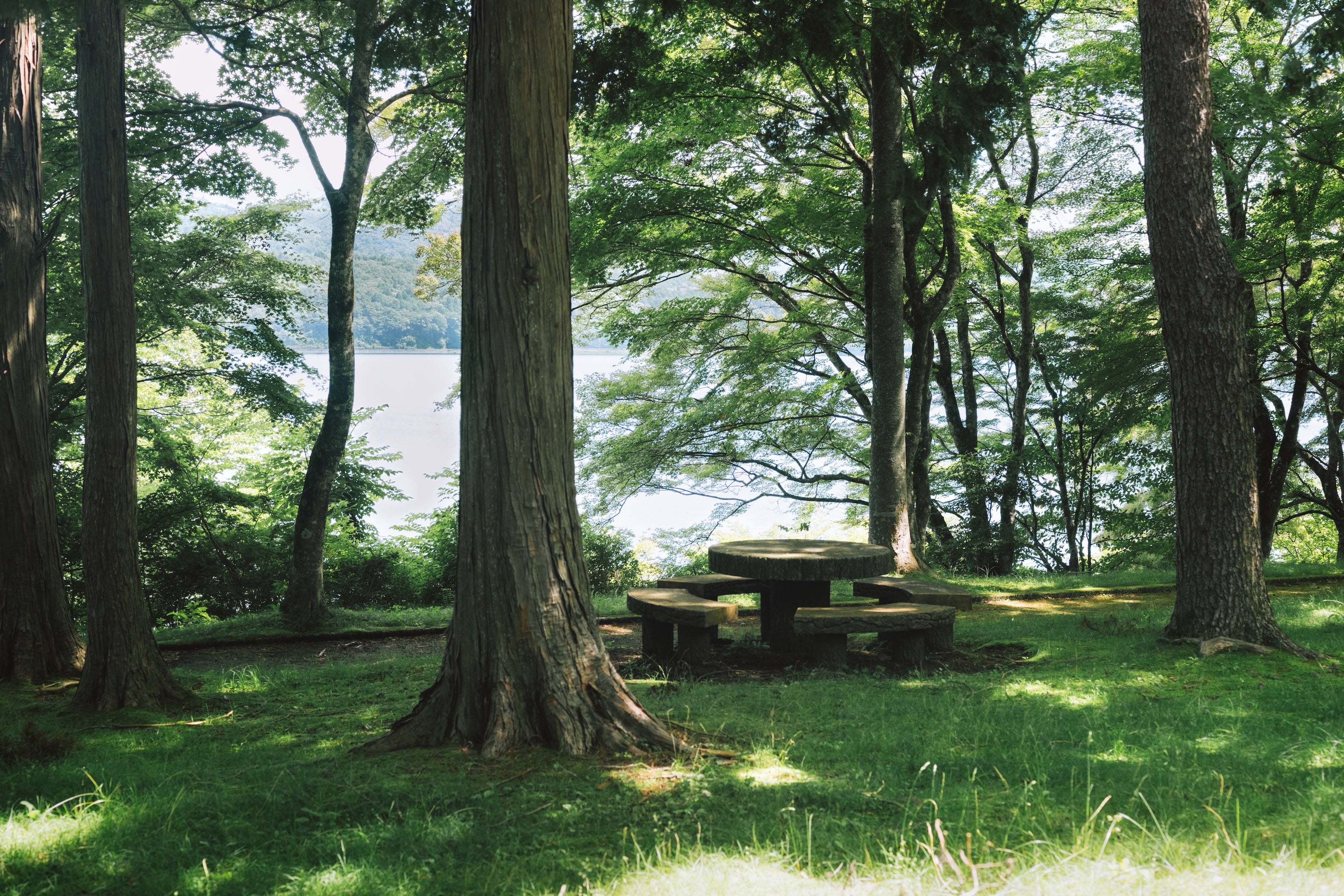 The Lodge Yamanakako by n'estate