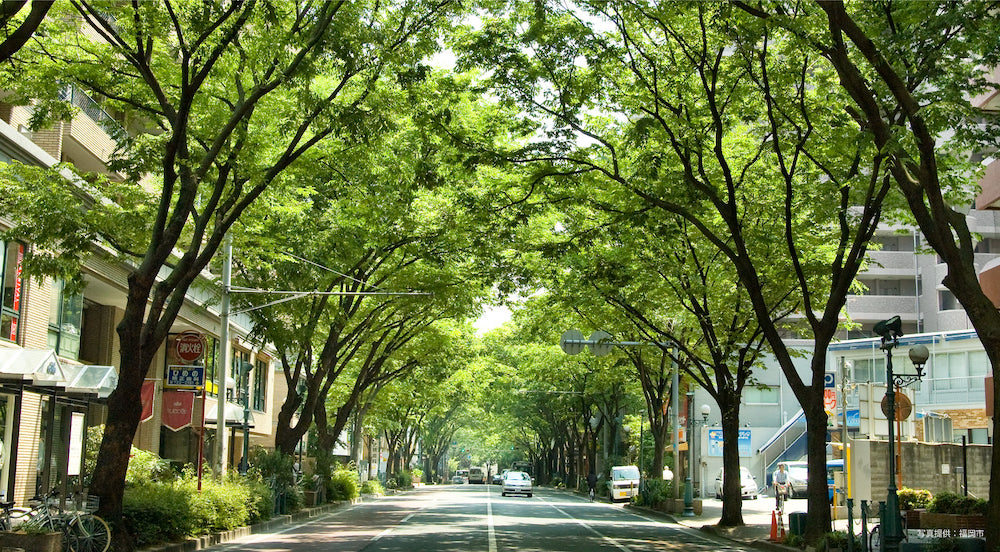 PARK AXIS 六本松 福岡県福岡市
