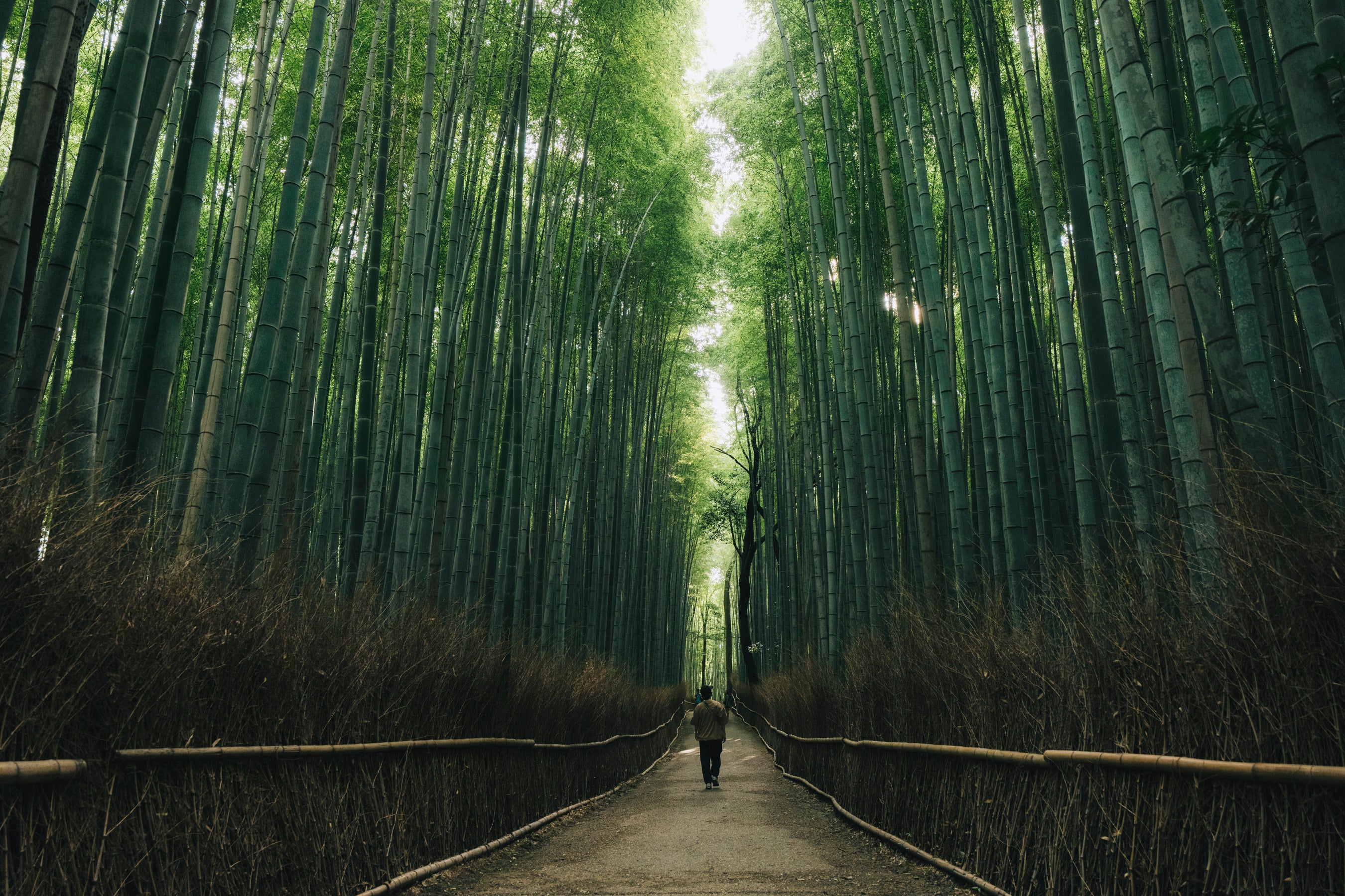 n'estate Kyoto-Arashiyama